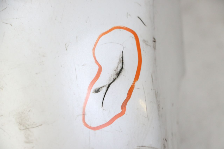 photo de PARAFANGO ANTERIORE HONDA FES S-WING SWING ABS 125 (2007 - 2015)