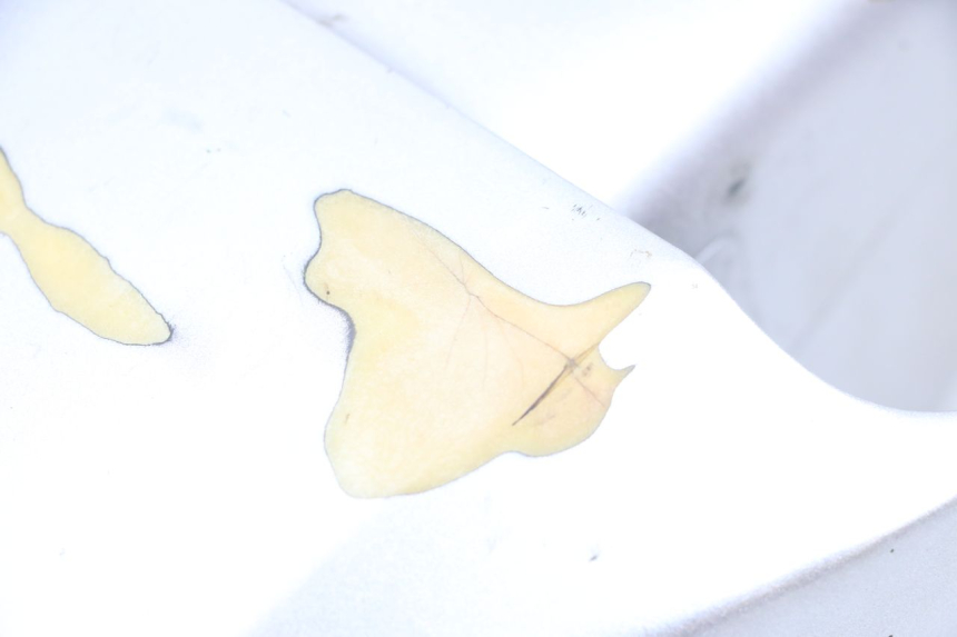 photo de Parafango anteriore HYOSUNG GF 125 (2001 - 2005)