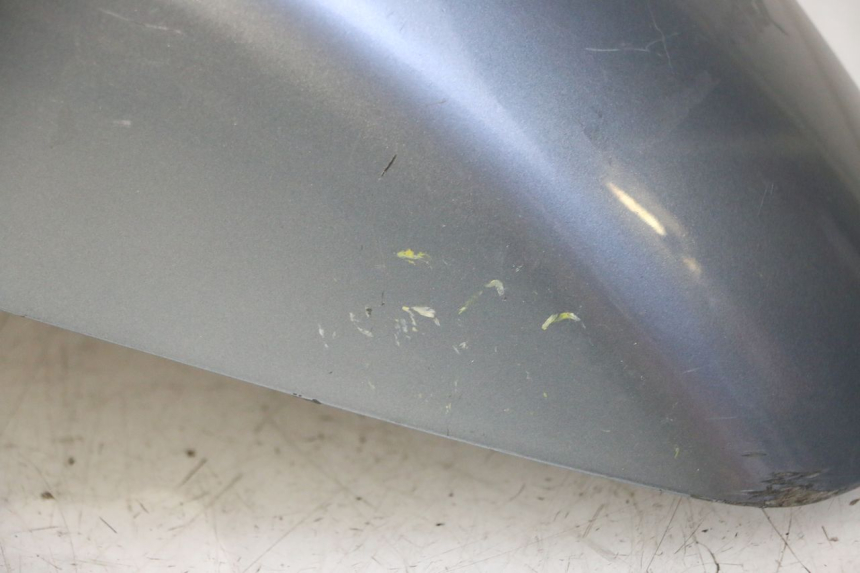 photo de PARAFANGO ANTERIORE DAELIM HISTORY 125 (2001 - 2002)