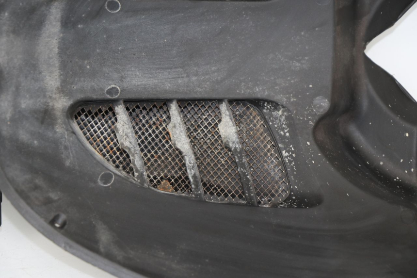 photo de Griglia del radiatore APRILIA ATLANTIC 125 (2003 - 2009)