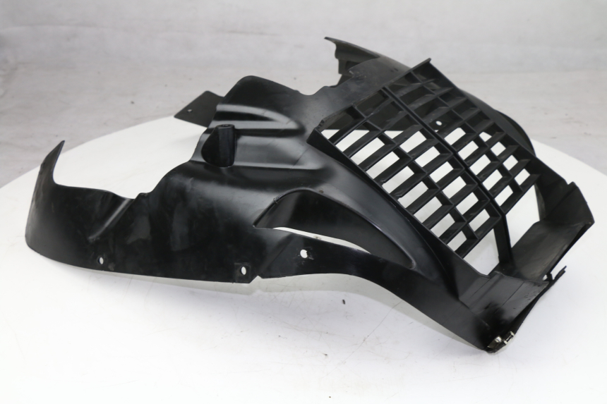 photo de Griglia del radiatore BMW C GT 650 (2012 - 2015)