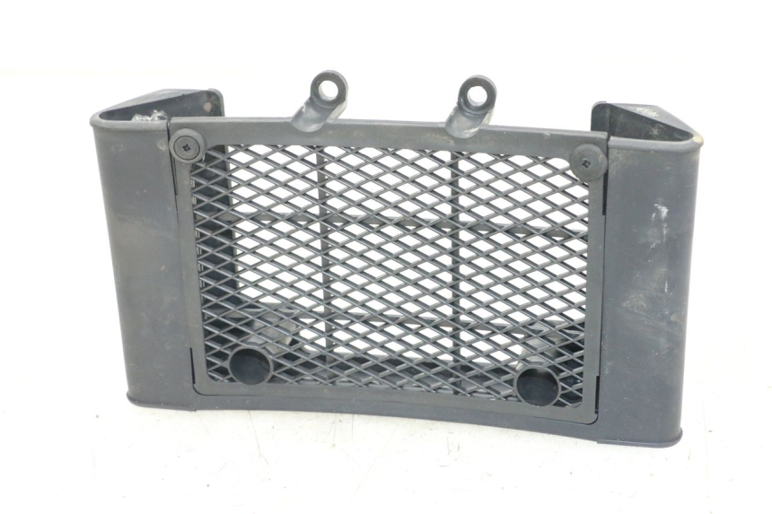 photo de GRIGLIA RADIATORE DAELIM VL DAYSTAR 125 (2000 - 2011)