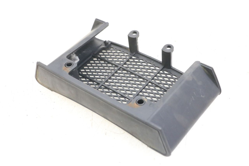 photo de GRIGLIA RADIATORE DAELIM VL DAYSTAR 125 (2000 - 2011)