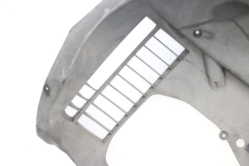 photo de DESTRA GRIGLIA RADIATORE ADIVA AD3 300 (2014 - 2020)