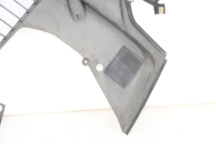 photo de DESTRA GRIGLIA RADIATORE ADIVA AD3 300 (2014 - 2020)