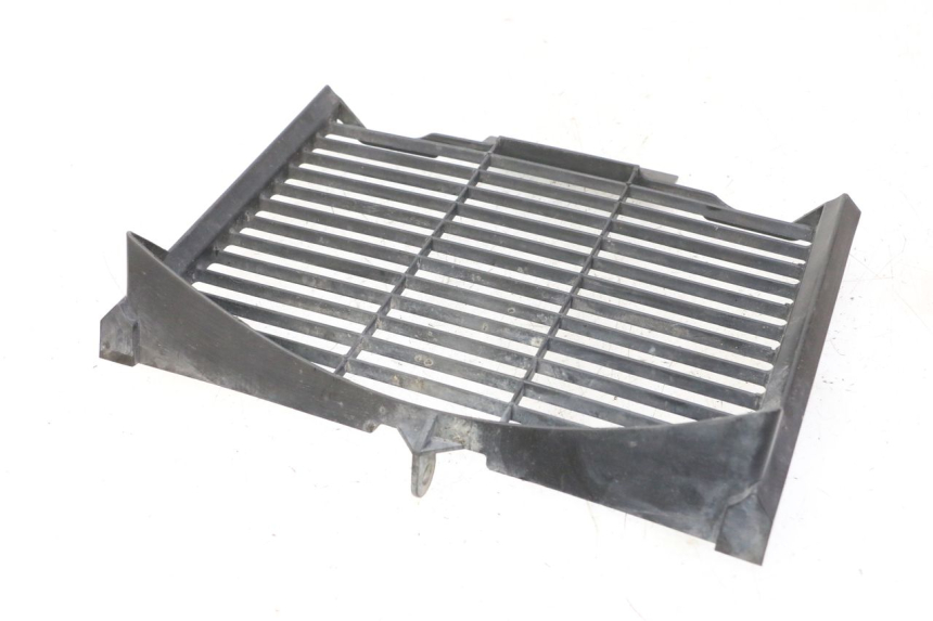 photo de GRIGLIA RADIATORE YAMAHA FZ6 FAZER S2 600 (2007 - 2011)