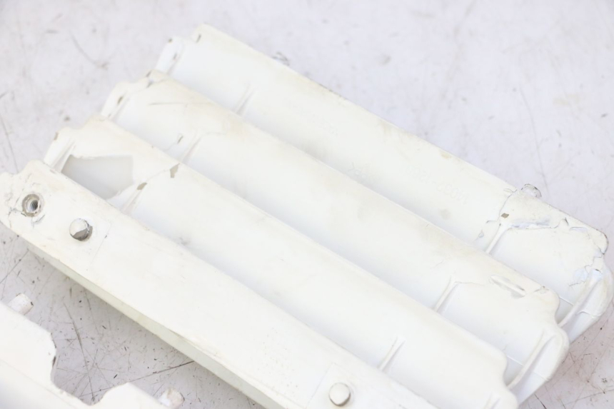 photo de GRIGLIA RADIATORE KAWASAKI KX 65 (2000 - 2019)