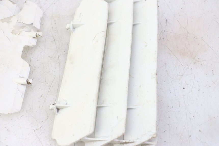 photo de GRIGLIA RADIATORE KAWASAKI KX 65 (2000 - 2019)