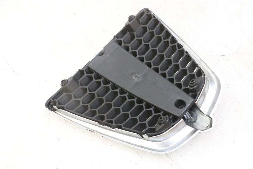 photo de GRIGLIA RADIATORE PIAGGIO MP3 LT 300 (2010 - 2016)