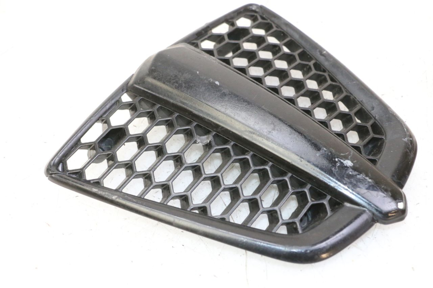 photo de GRIGLIA RADIATORE PIAGGIO MP3 500 (2011 - 2015)