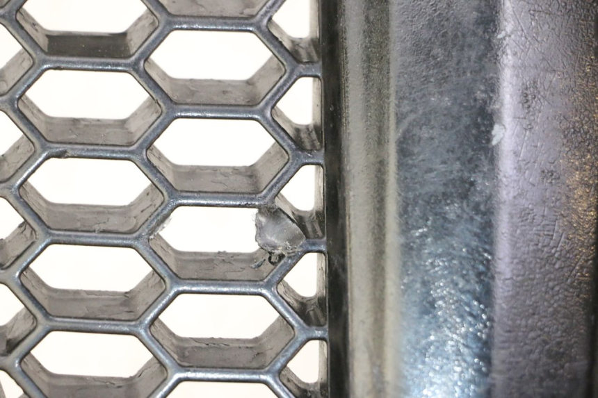 photo de GRIGLIA RADIATORE PIAGGIO MP3 500 (2011 - 2015)