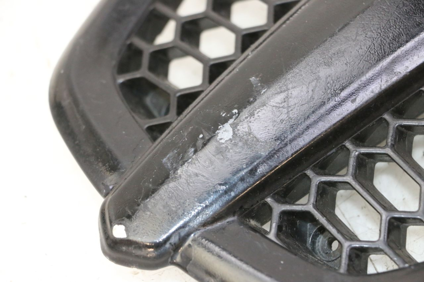 photo de GRIGLIA RADIATORE PIAGGIO MP3 500 (2011 - 2015)