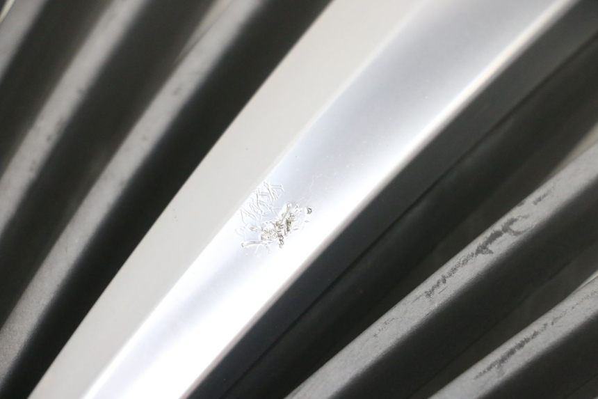 photo de GRIGLIA RADIATORE PIAGGIO MP3 RL 250 (2007 - 2010) - Vista d'insieme del prodotto