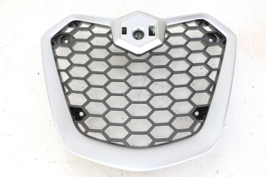 photo de GRIGLIA RADIATORE PIAGGIO MP3 500 (2014 - 2016)