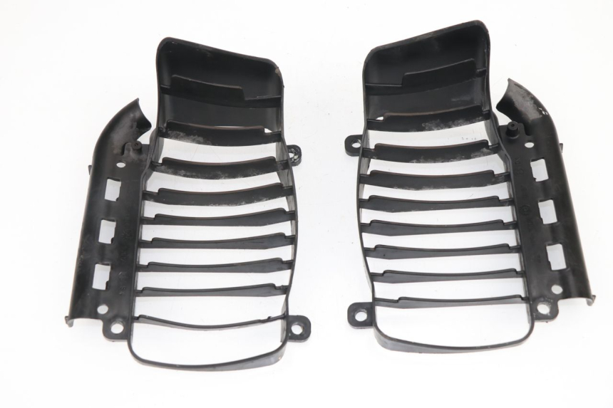 photo de Griglia del radiatore PIAGGIO VESPA GTS 125 (2007 - 2012)