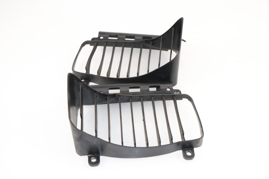photo de Griglia del radiatore PIAGGIO VESPA GTS 125 (2007 - 2012)