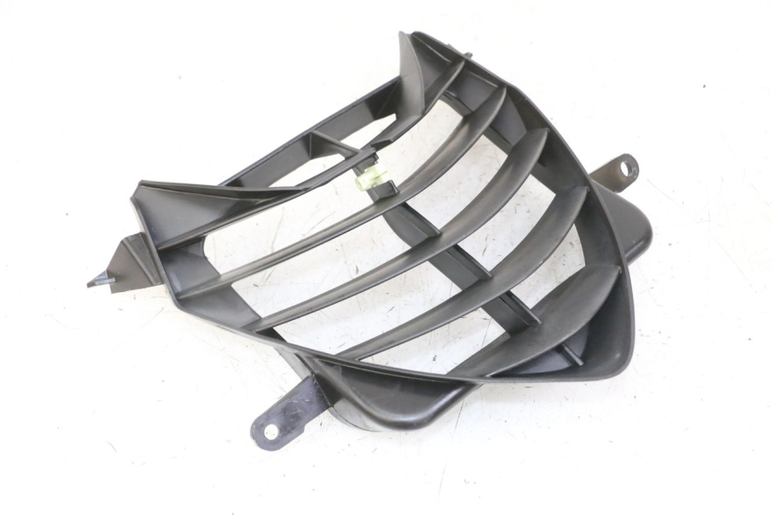 photo de GRIGLIA RADIATORE PEUGEOT SPEEDFIGHT 2 LC 50 (2000 - 2009)