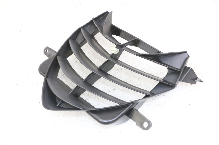 photo de GRIGLIA RADIATORE PEUGEOT SPEEDFIGHT 2 LC 50 (2000 - 2009)