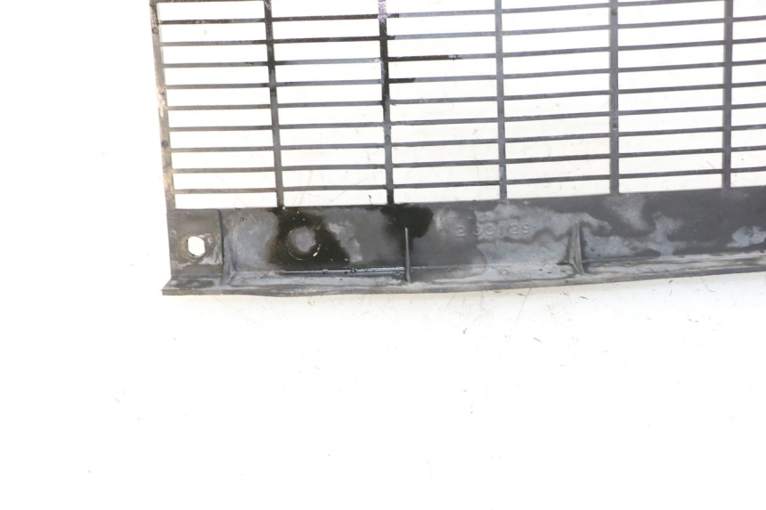 photo de GRIGLIA RADIATORE TRIUMPH SPRINT 900 (1995 - 1998)