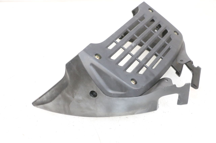 photo de GRIGLIA RADIATORE DAELIM VJ ROADWIN FI 125 (2008 - 2017) - Vista principale