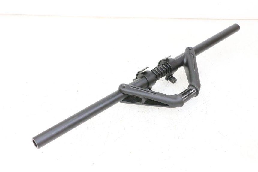 photo de MANUBRIO DUALTRON AMINIA 1