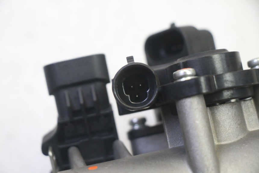 photo de CORPO FARFALLATO QUADRO 4 4D 350 (2015 - 2018)