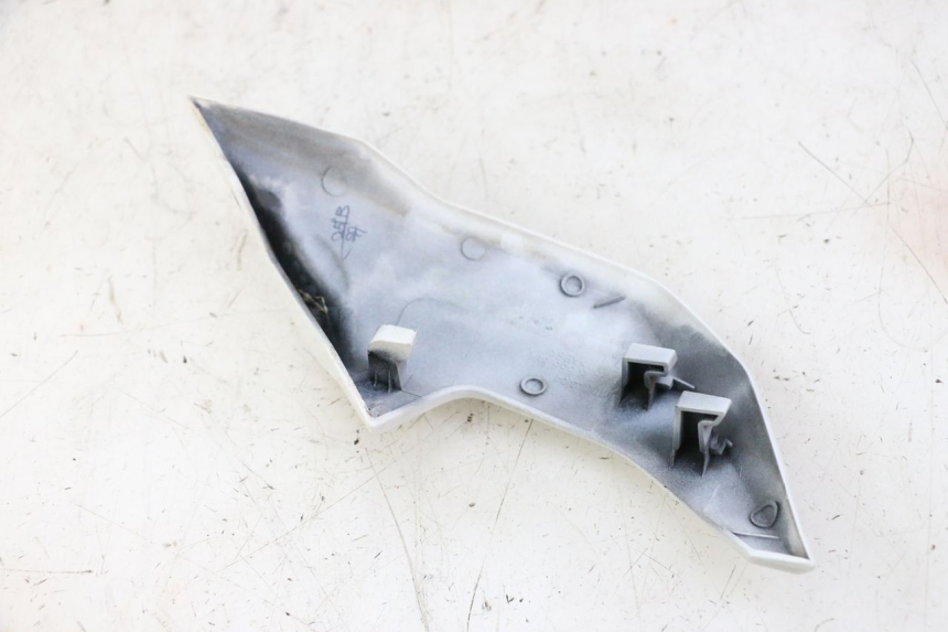 photo de INTERNA CUPOLINO DESTRO BMW G310 R 310 (2016 - 2020)