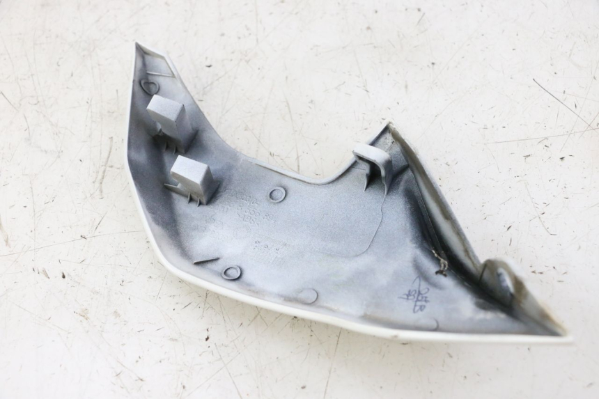photo de INTERNA CUPOLINO DESTRO BMW G310 R 310 (2016 - 2020)