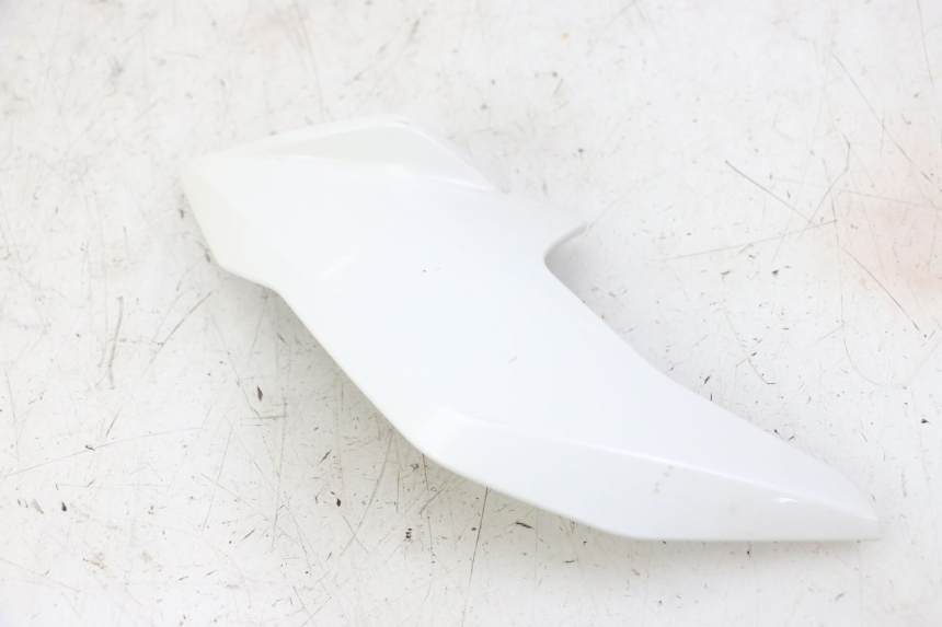 photo de INTERNA CUPOLINO DESTRO BMW G310 R 310 (2016 - 2020)