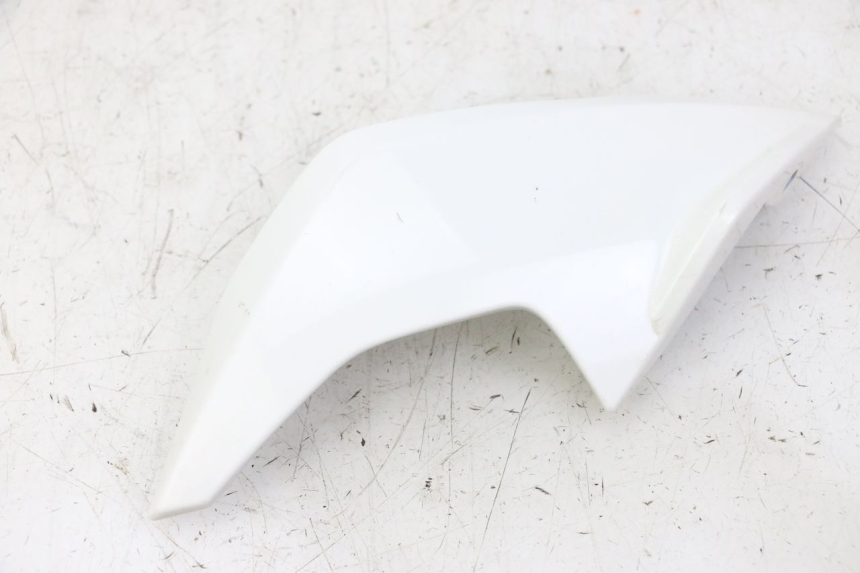 photo de INTERNA CUPOLINO DESTRO BMW G310 R 310 (2016 - 2020)