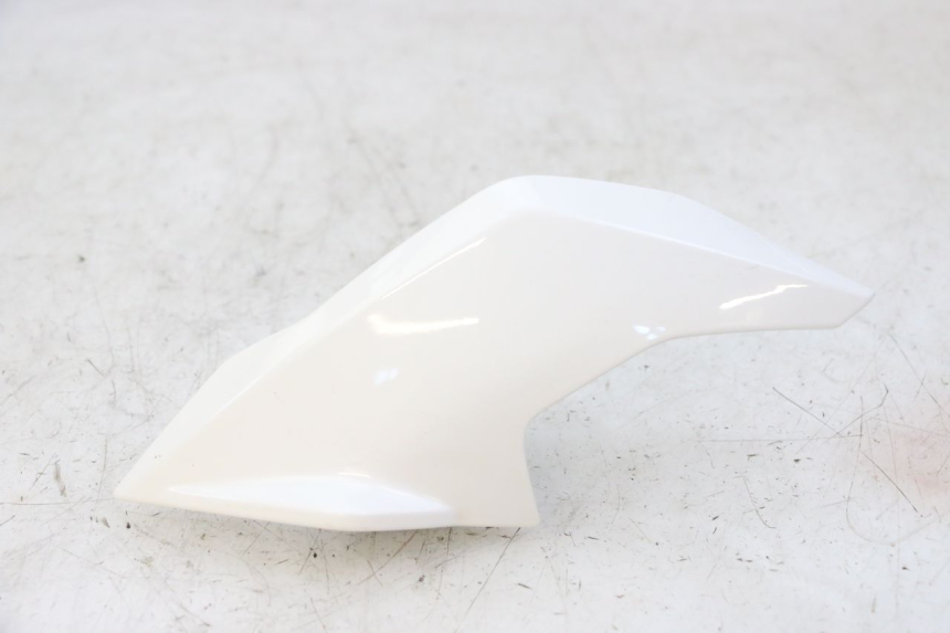 photo de INTERNA CUPOLINO SINISTRO BMW G310 R 310 (2016 - 2020)