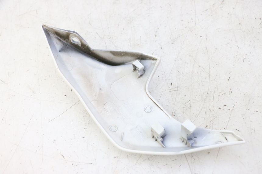 photo de INTERNA CUPOLINO SINISTRO BMW G310 R 310 (2016 - 2020)