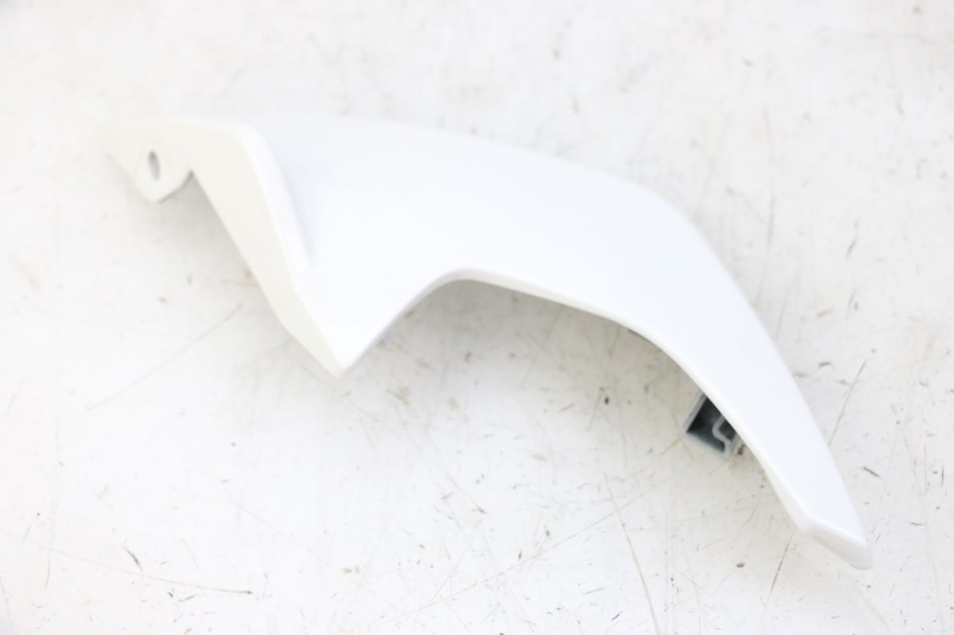 photo de INTERNA CUPOLINO SINISTRO BMW G310 R 310 (2016 - 2020)
