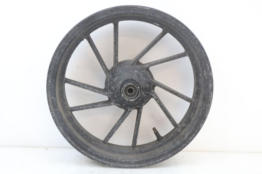 photo de CERCHIO ANTERIORE LONGJIA EASY MAX 125 (2020 - 2024)