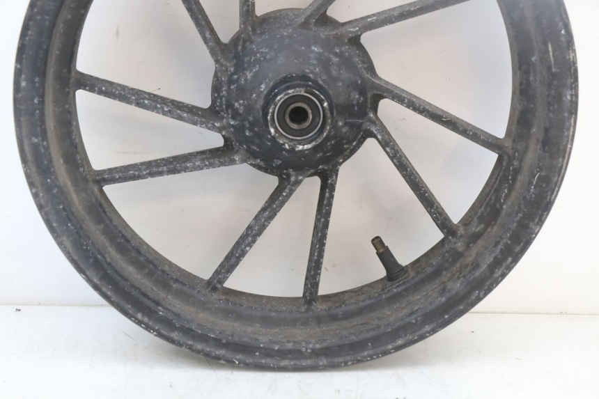 photo de CERCHIO ANTERIORE LONGJIA EASY MAX 125 (2020 - 2024)