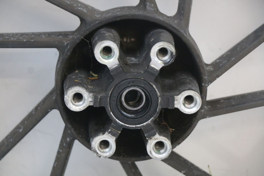 photo de CERCHIO ANTERIORE LONGJIA EASY MAX 125 (2020 - 2024)