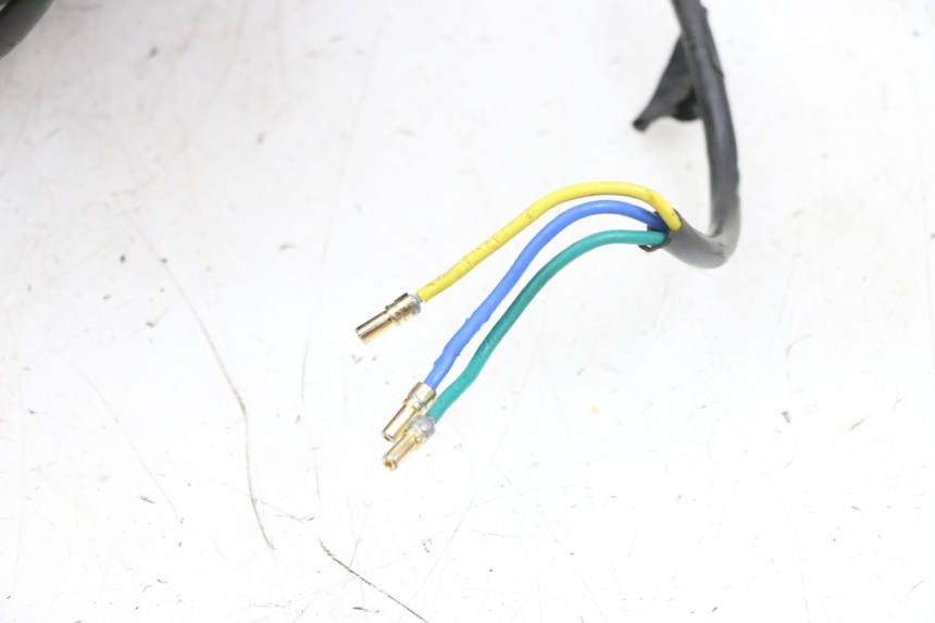 photo de CERCHIO ANTERIORE E PNEUMATICO DUALTRON VICTOR LIMITED 1