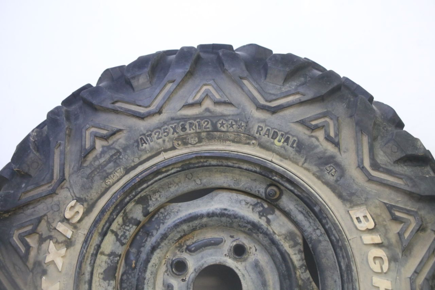 photo de CERCHIO ANTERIORE E PNEUMATICO YAMAHA YFM GRIZZLY 550 (2008 - 2015)