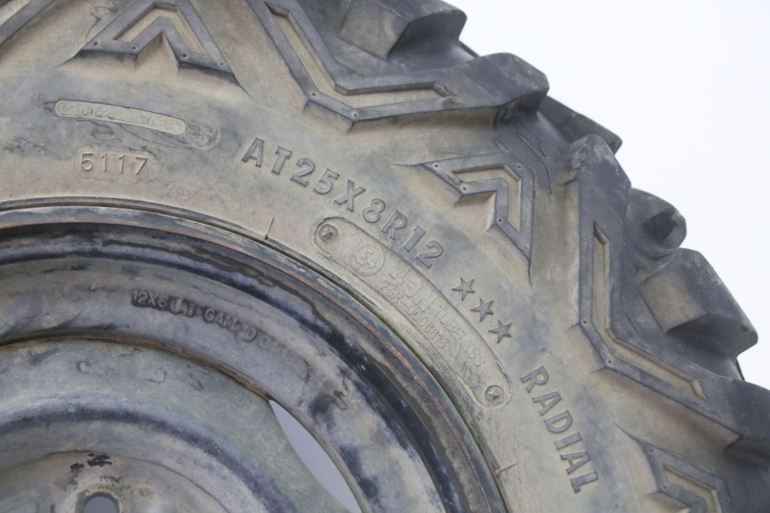 photo de CERCHIO ANTERIORE E PNEUMATICO YAMAHA YFM GRIZZLY 550 (2008 - 2015)