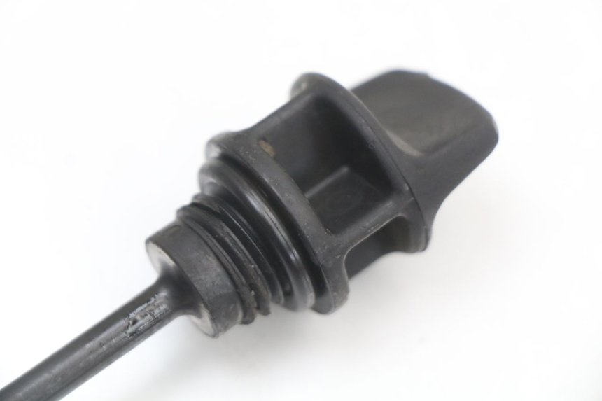 photo de OLIO MOTORE GALLEGGIANTE LONGJIA EASY MAX 125 (2020 - 2024)