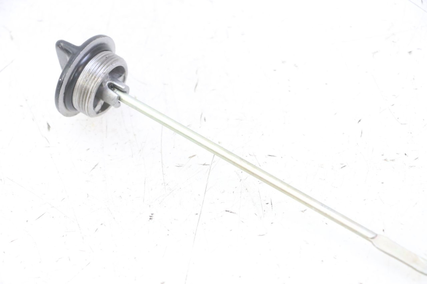 photo de OLIO MOTORE GALLEGGIANTE SUZUKI GS GSE 500 (2001 - 2003)