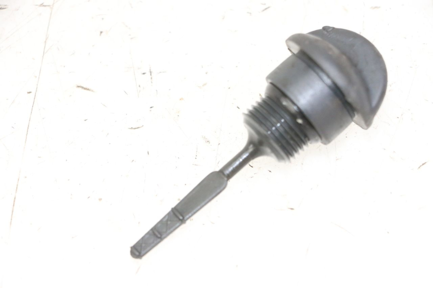 photo de OLIO MOTORE GALLEGGIANTE PIAGGIO VESPA GRANTURISMO 200 (2004 - 2005)