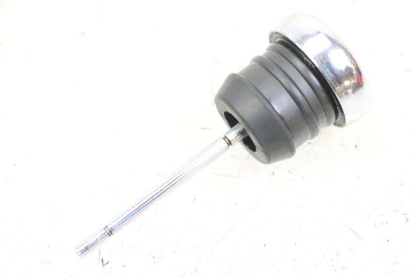 photo de OLIO MOTORE GALLEGGIANTE HARLEY DAVIDSON SPORTSTER XL CUSTOM 1200 (2003 - 2004)