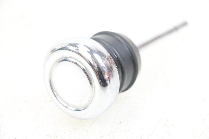 photo de OLIO MOTORE GALLEGGIANTE HARLEY DAVIDSON SPORTSTER XL CUSTOM 1200 (2003 - 2004)