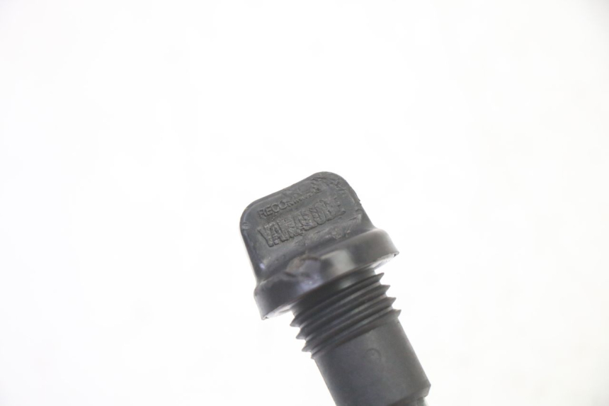 photo de Livello olio motore YAMAHA TDM ABS 900 (2002 - 2014)