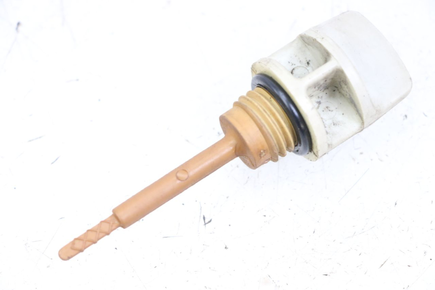 photo de OLIO MOTORE GALLEGGIANTE KYMCO XCITING 250 (2006 - 2009)