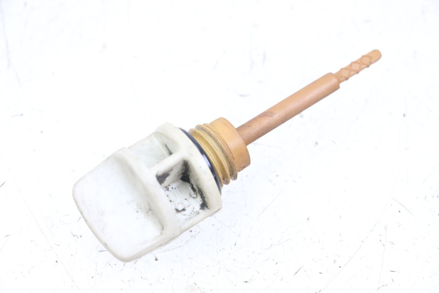 photo de OLIO MOTORE GALLEGGIANTE KYMCO XCITING 250 (2006 - 2009)