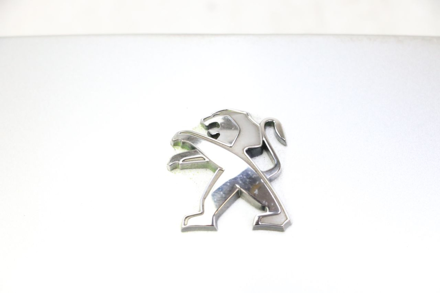 photo de GIUNZIONE PARAFANGO POSTERIORE PEUGEOT CITYSTAR 50 (2013 - 2017)