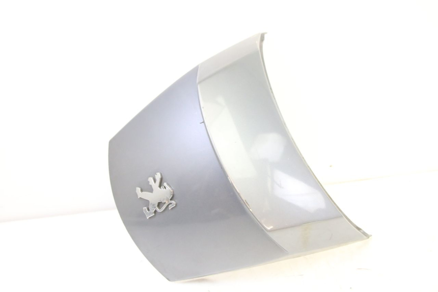 photo de CARENA POSTERIORE CONGIUNZIONE PEUGEOT SATELIS 250 (2006 - 2012)