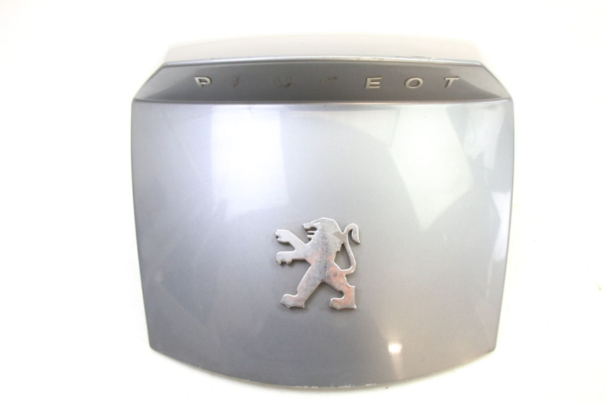 photo de CARENA POSTERIORE CONGIUNZIONE PEUGEOT SATELIS 250 (2006 - 2012)